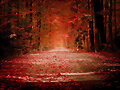 Oto&ntilde;o