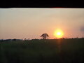 Cielo Mi Cielo