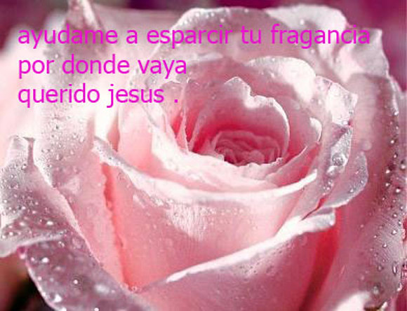 QUERIDO JESUS