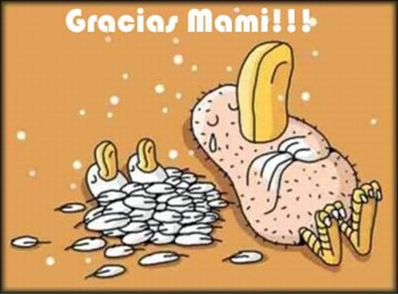 —(••÷[QUE MADRE NO HARIA ESO POR UN HIJO  ]÷••)—