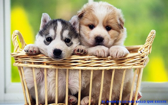 PARA TOD@S