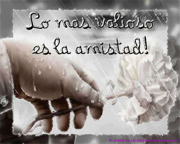¿ COMO SE MIDE LA VIDA ?