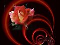 SANT JORDI
