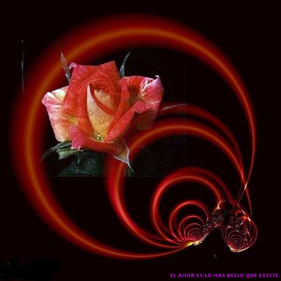 SANT JORDI
