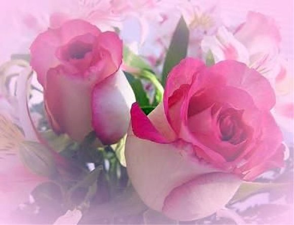 EL ROSAL FLORIDO