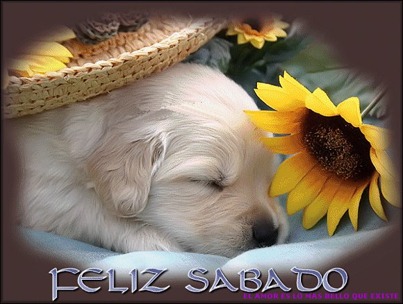 EL DESEO, LA RAIZ DEL SUFRIMIENTO....