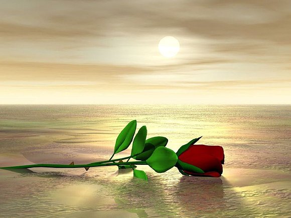 FELIZ DESCANSO