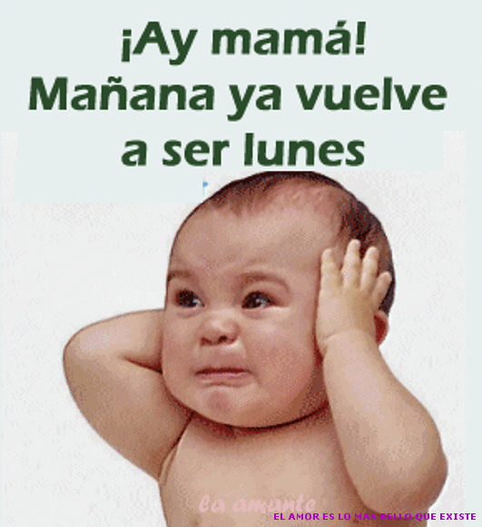 FELIZ INICIO DE SEMANA
