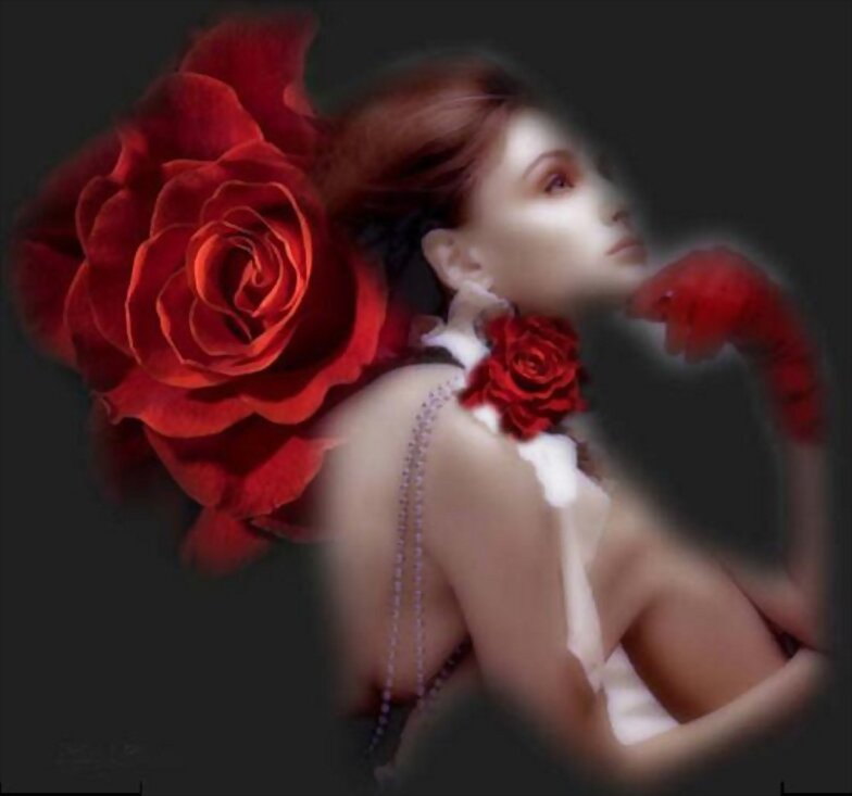 ANIMATE AL AMOR