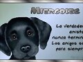 DEDICADO A TOD@S VOSOTR@S