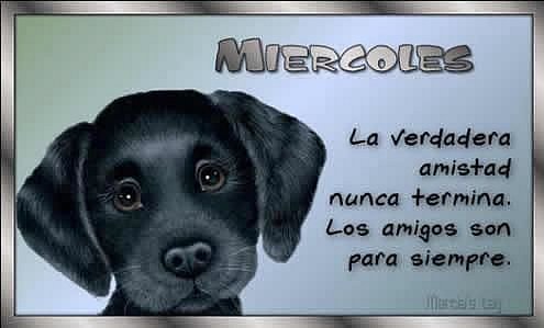 DEDICADO A TOD@S VOSOTR@S