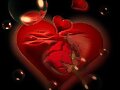 HISTORIA DE DOS CORAZONES