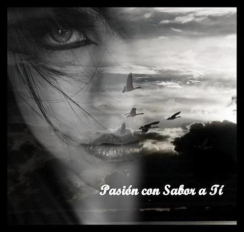 NO VOLVERAS