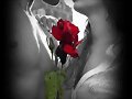 LA ROSA