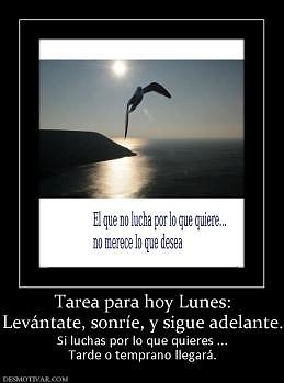 FELIZ INICIO DE SEMANA