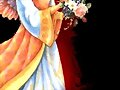 EL AMOR PERDIDO