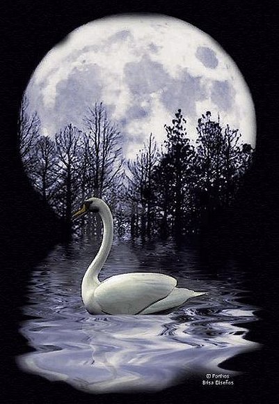 LA LUNA