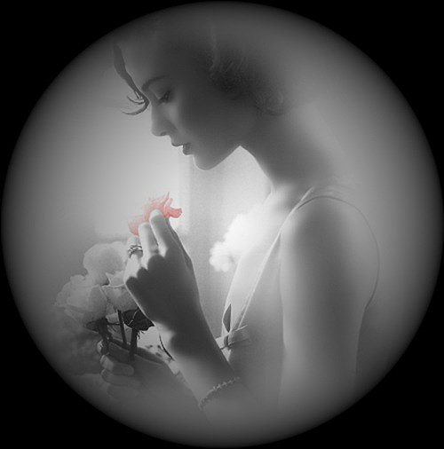 LA ROSA