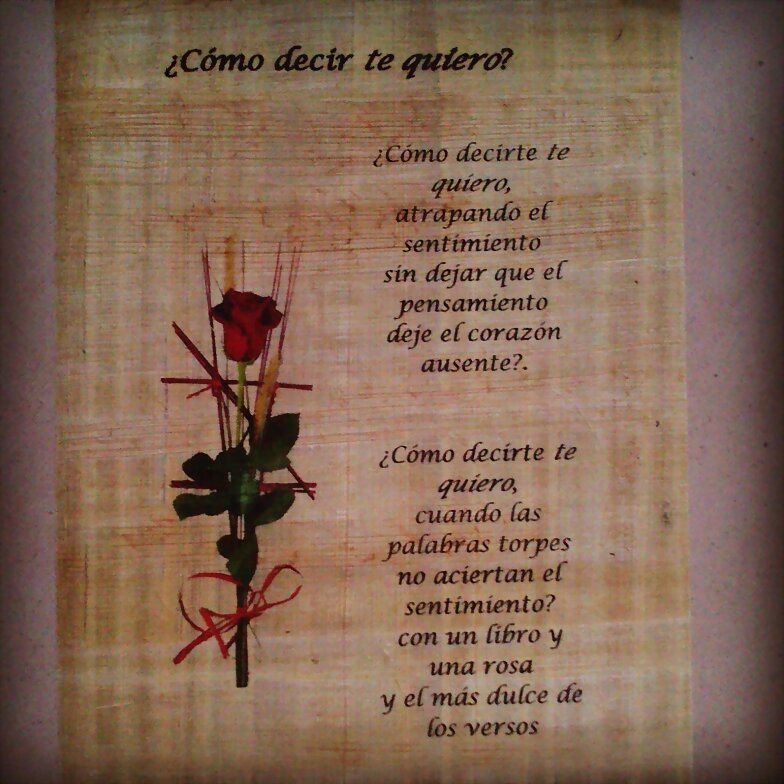 DIA DE LA ROSA