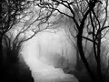 NIEBLA