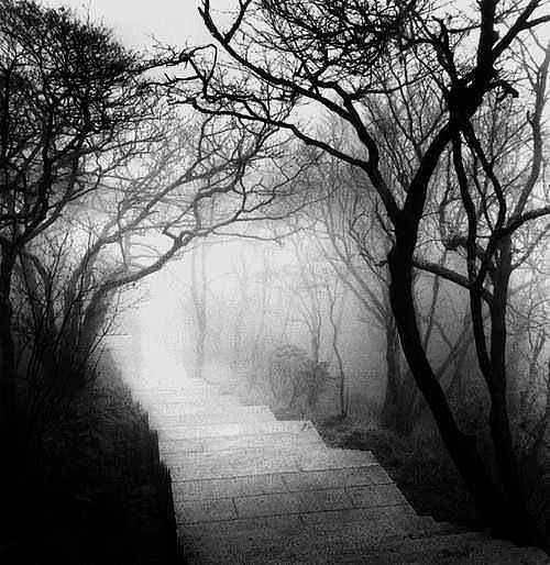 NIEBLA