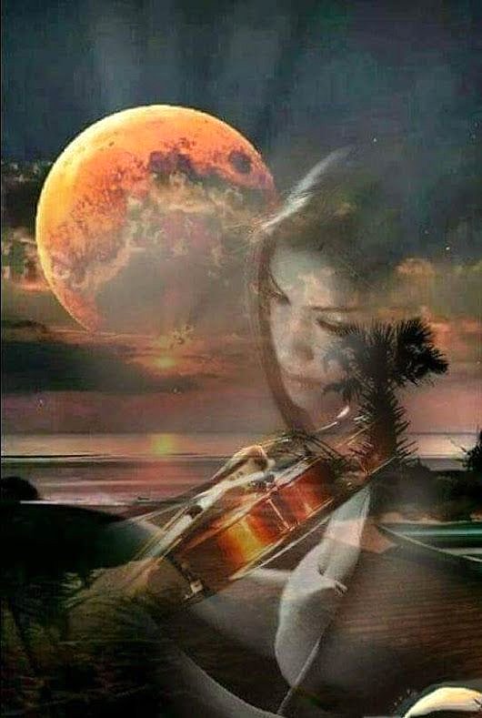 MELODIA