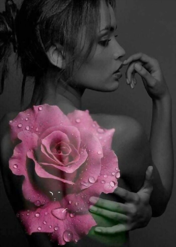 ROSA