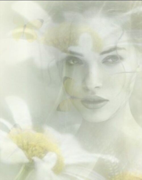 ALMAS.2