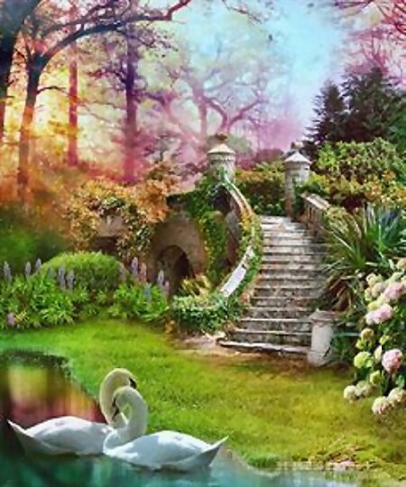 RAYOS Y AROMAS