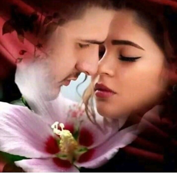 AMOR
