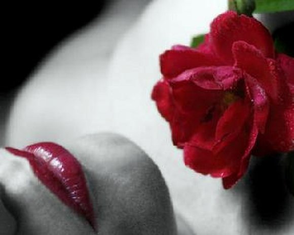 LA  ROSA