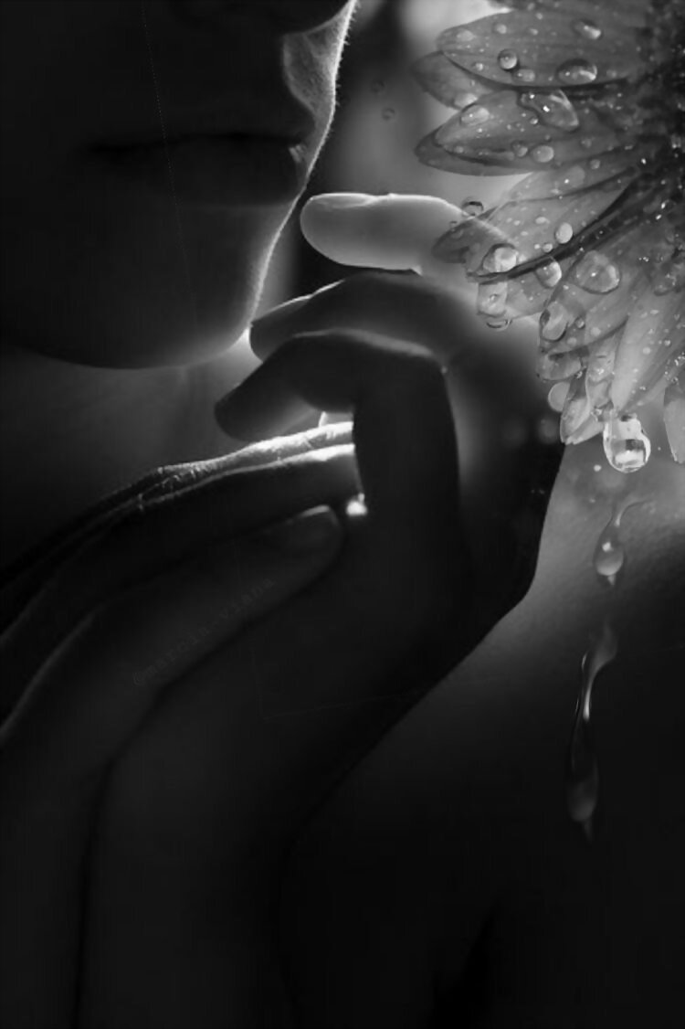 RENACIMIENTO