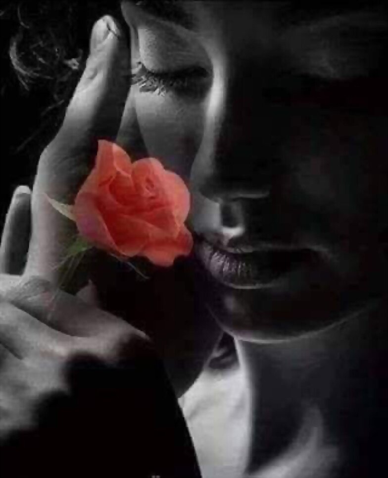 INSTANTE