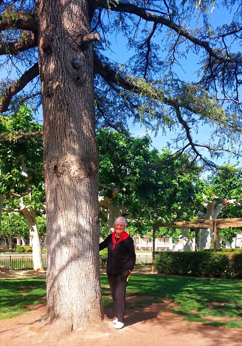 FELIZ TARDE DE JUEVES