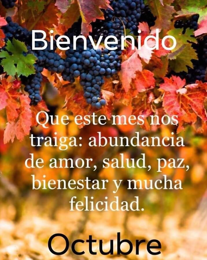 BUENOS DIAS
