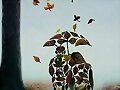 OTO&Ntilde;O