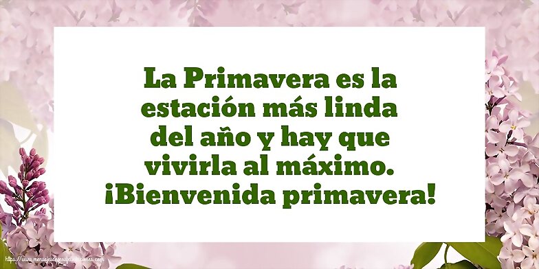 BUENOS DIAS