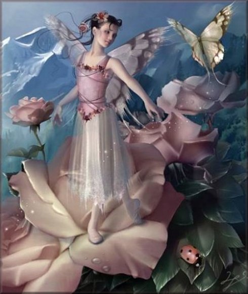 LA MARIPOSA