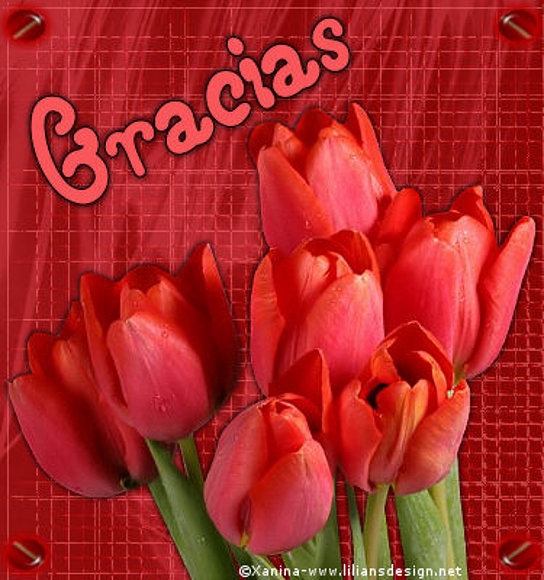 FELICES SUEÑOS