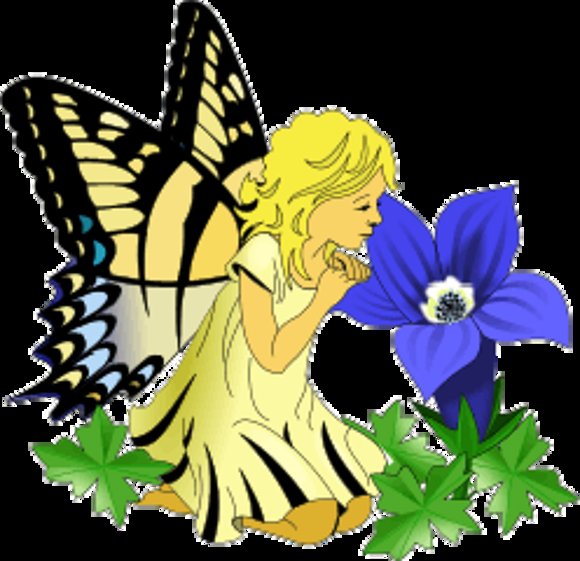 MI UNICA FLOR