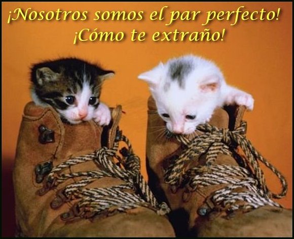 FELIZ  DOMINGO