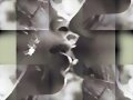 DOS AMORES (FINAL)