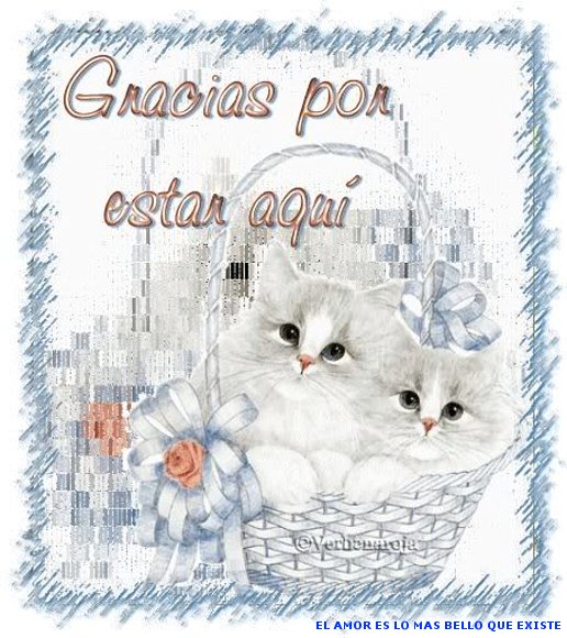 HASTA MAÑANA