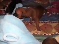 Hermoso