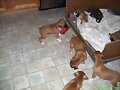 Jugando