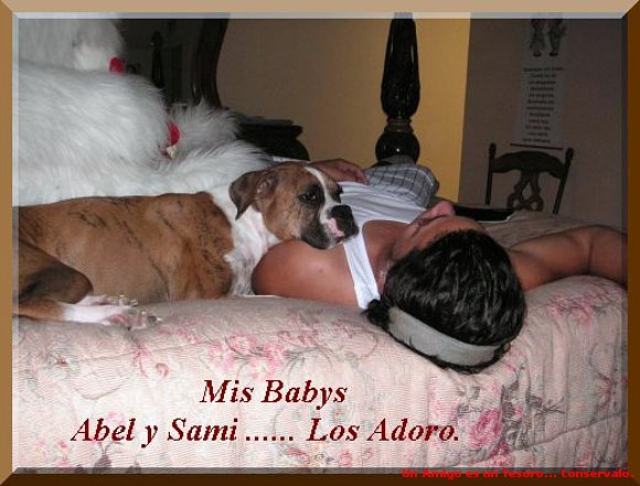 Mis Amores