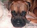 My Baby