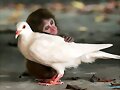 &iquest;Amistad o amor?