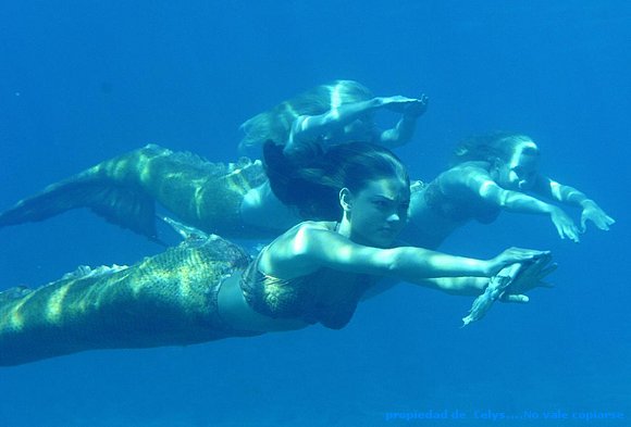Las sirenas nadando!!!