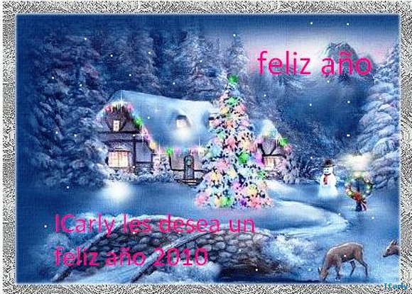 feliz año 2010